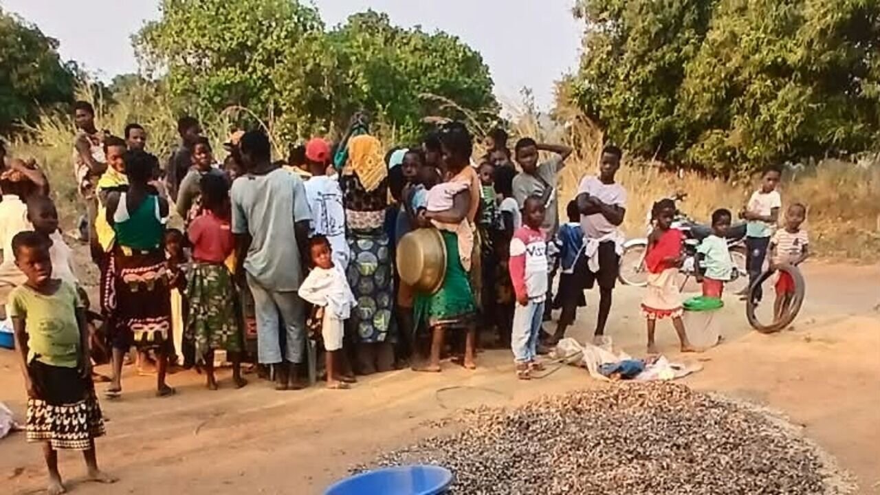 Comunidade reunida junto a feijão boer branco colhido e espalhado para secagem, em Milange, Zambézia